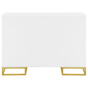 Elsa 2-door Wood Storage Accent Cabinet White and Gold