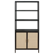 Amherst 3-shelf Radio Weave Cane Metal Accent Cabinet
