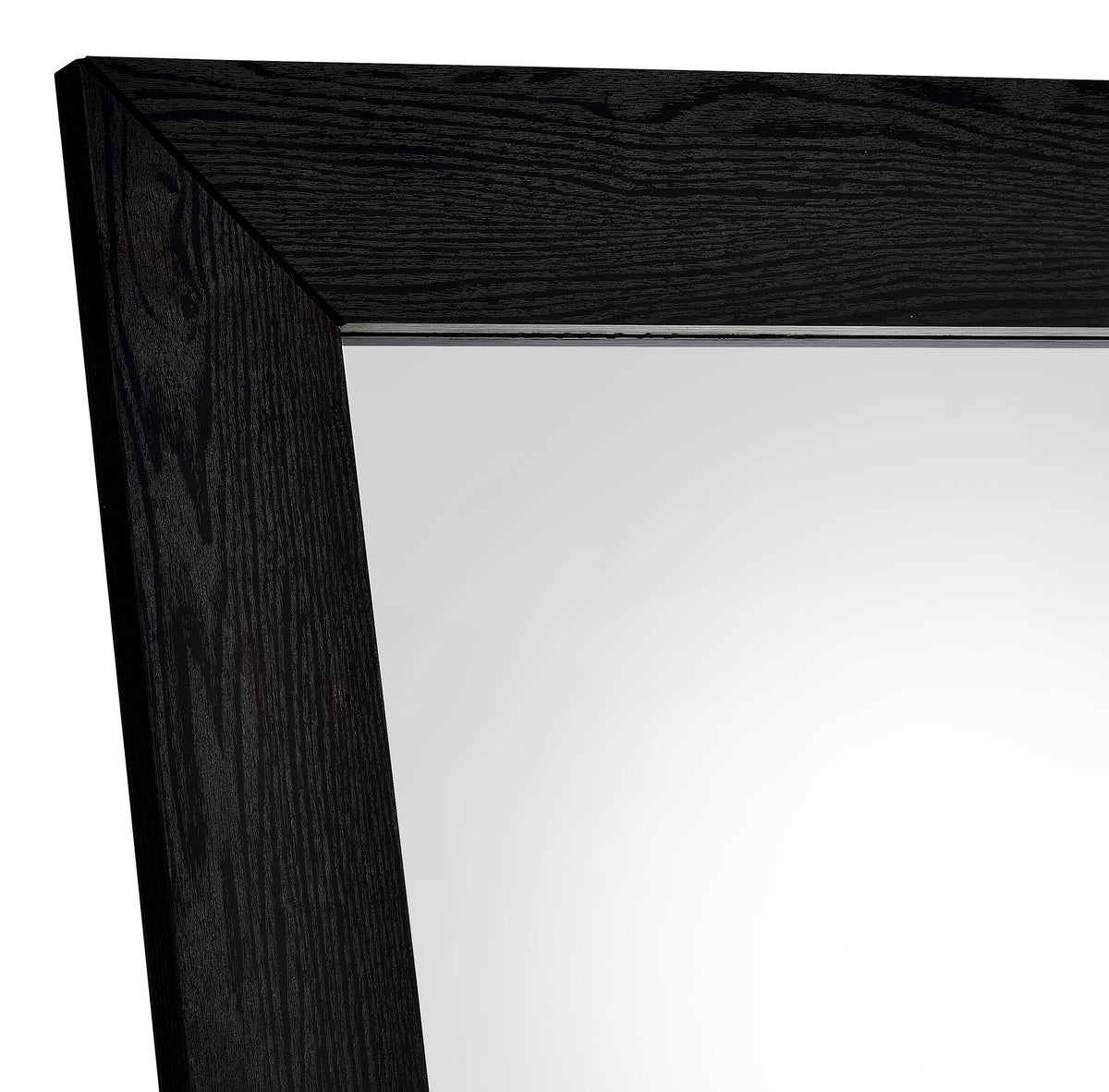 Cadence Tempered Glass Full Length Standing Mirror