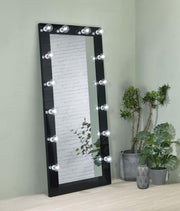 Zayan 32 x 71 Inch Floor Mirror LED ing Gloss Black High Gloss