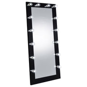 Zayan 32 x 71 Inch Floor Mirror LED ing Gloss