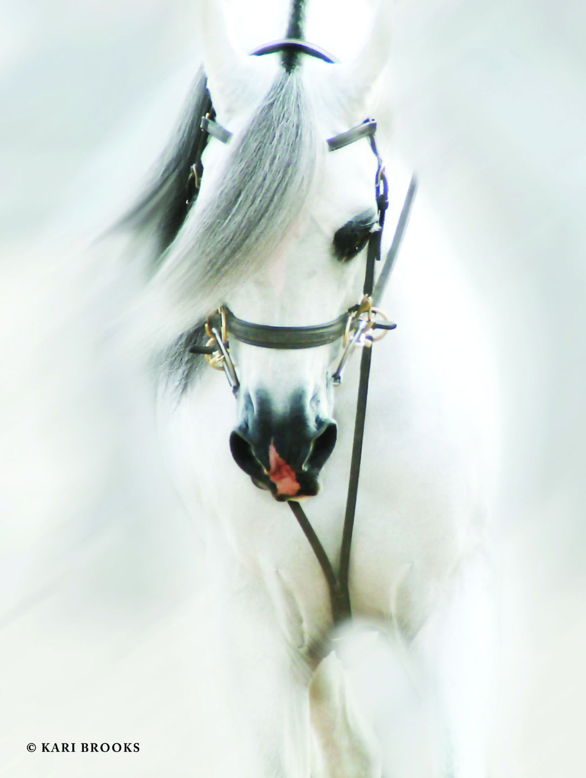 Dream Horse By Kari Brooks - Silver