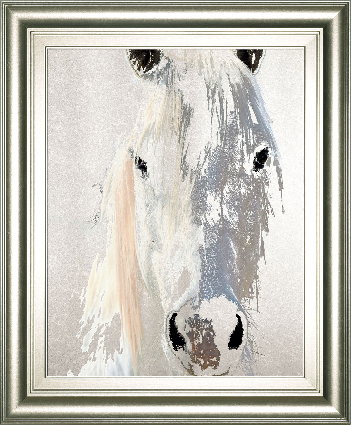 Sage By Marvin Pelkey - Framed Print Wall Art - Silver