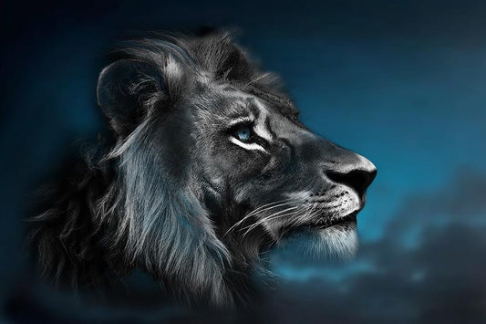 Portrait Of A Lion By Cad Design - Blue