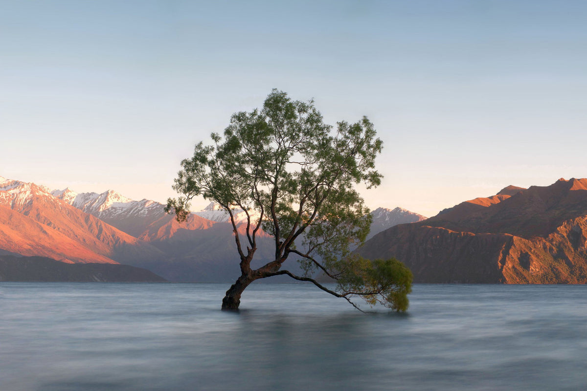 Solitary Dawn Reflection - 40" x 60" Framed Wall Art - Blue