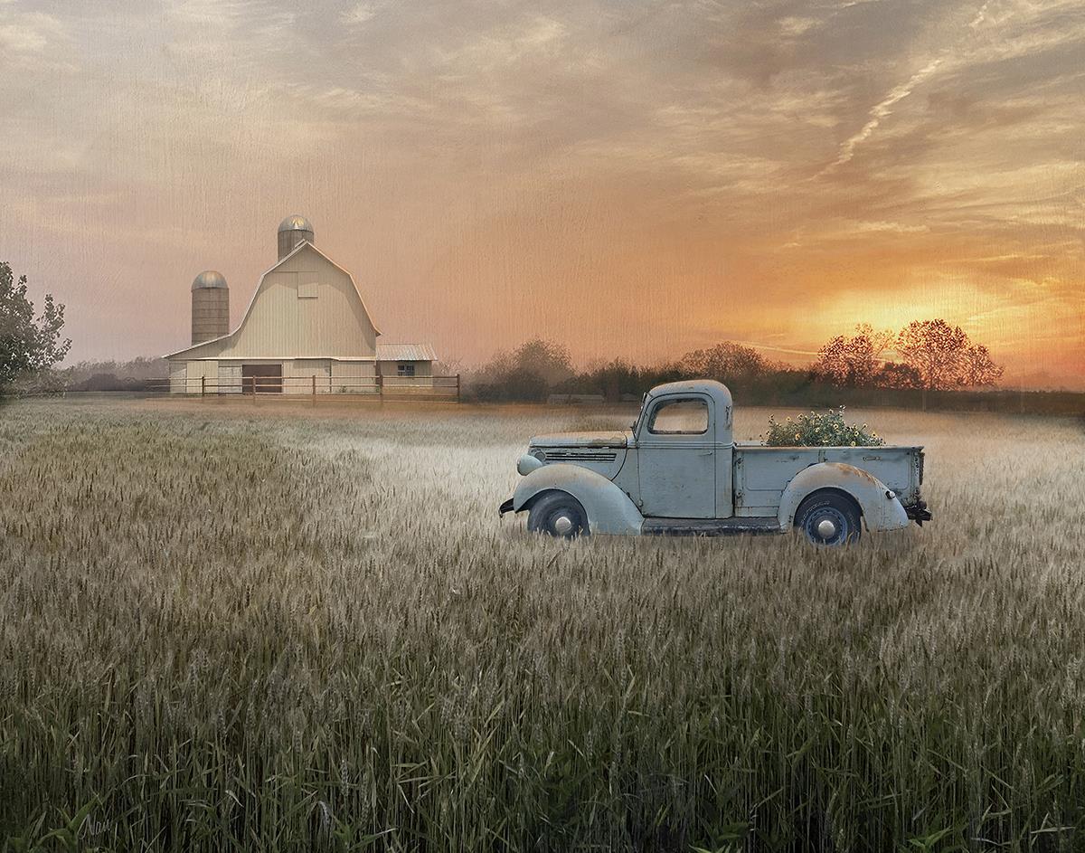 Evening Farm By Nan (Small) - Light Brown