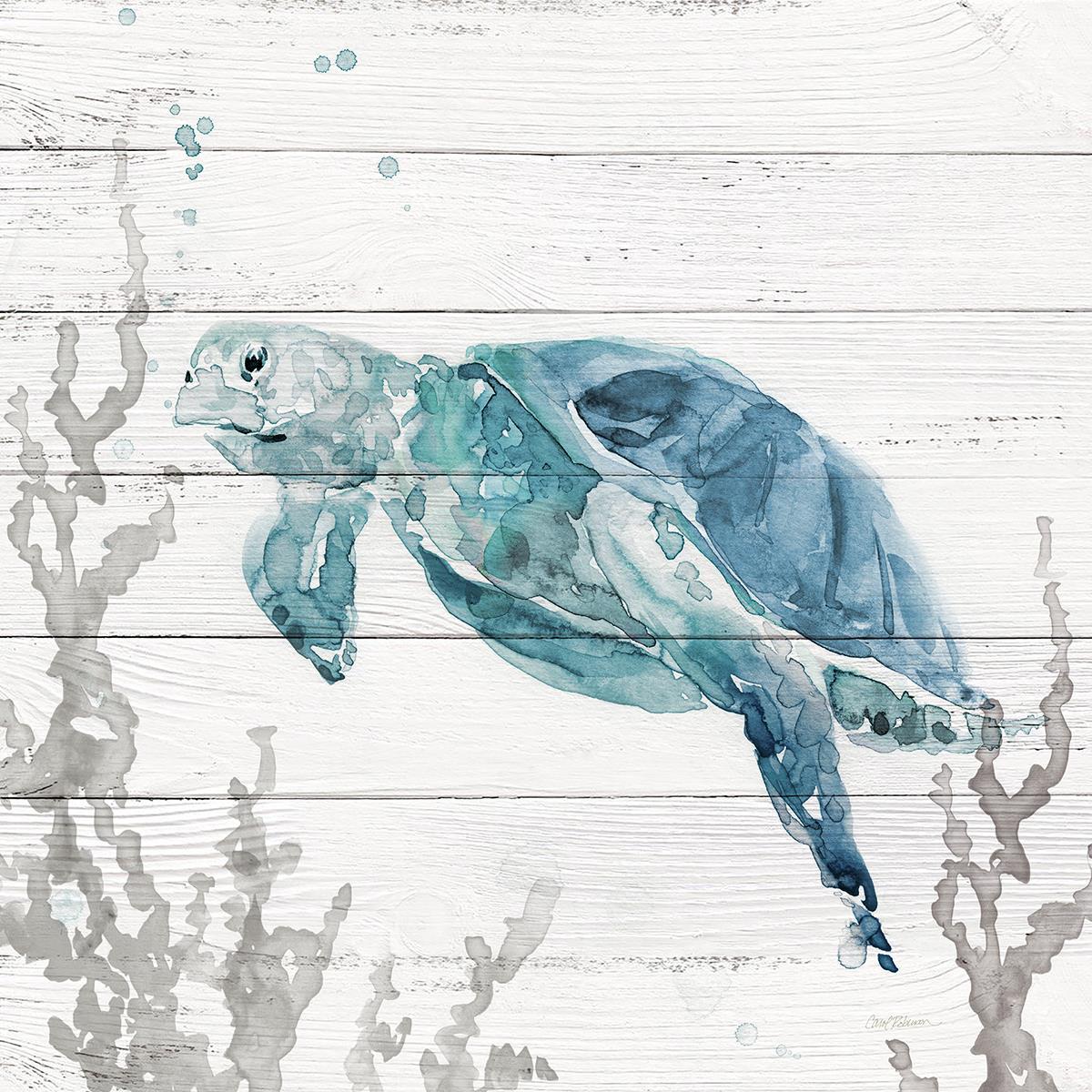 Aqua Turtle II By Carol Robinson (Framed) - Beige