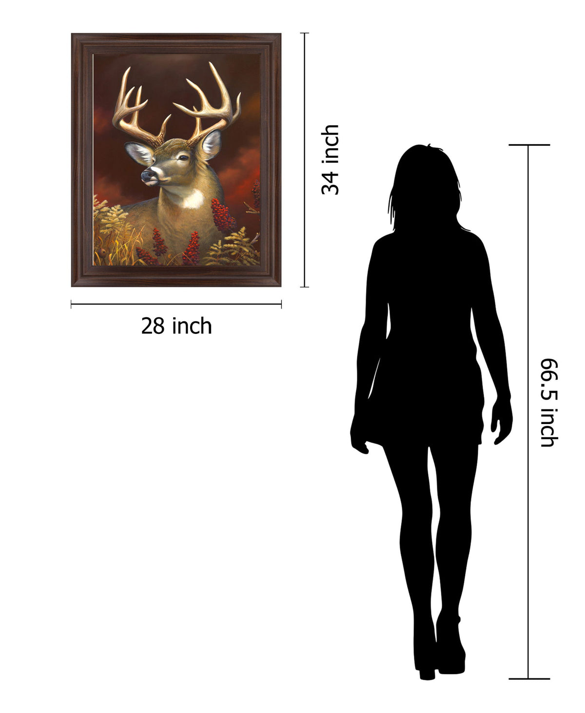 Crimson Meadow Stag - 28" x 34" Framed Wall Art - Dark Brown
