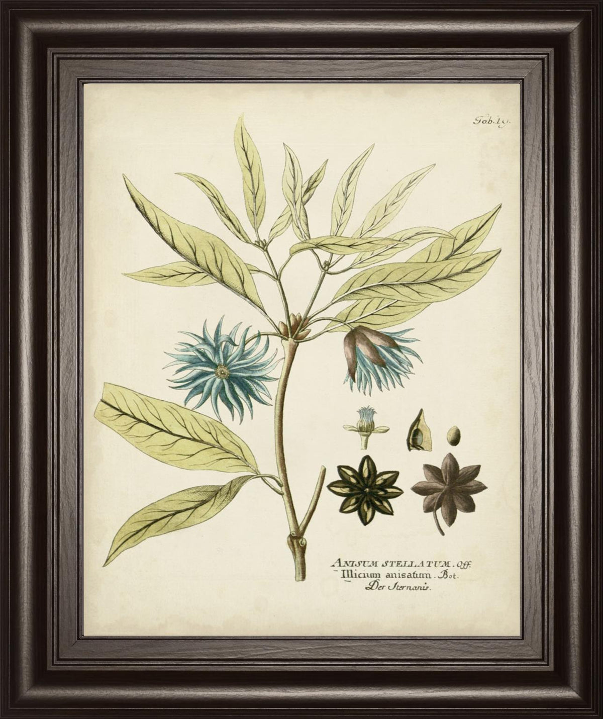 22x26 Eloquent Botanical III By Vision Studio - Beige