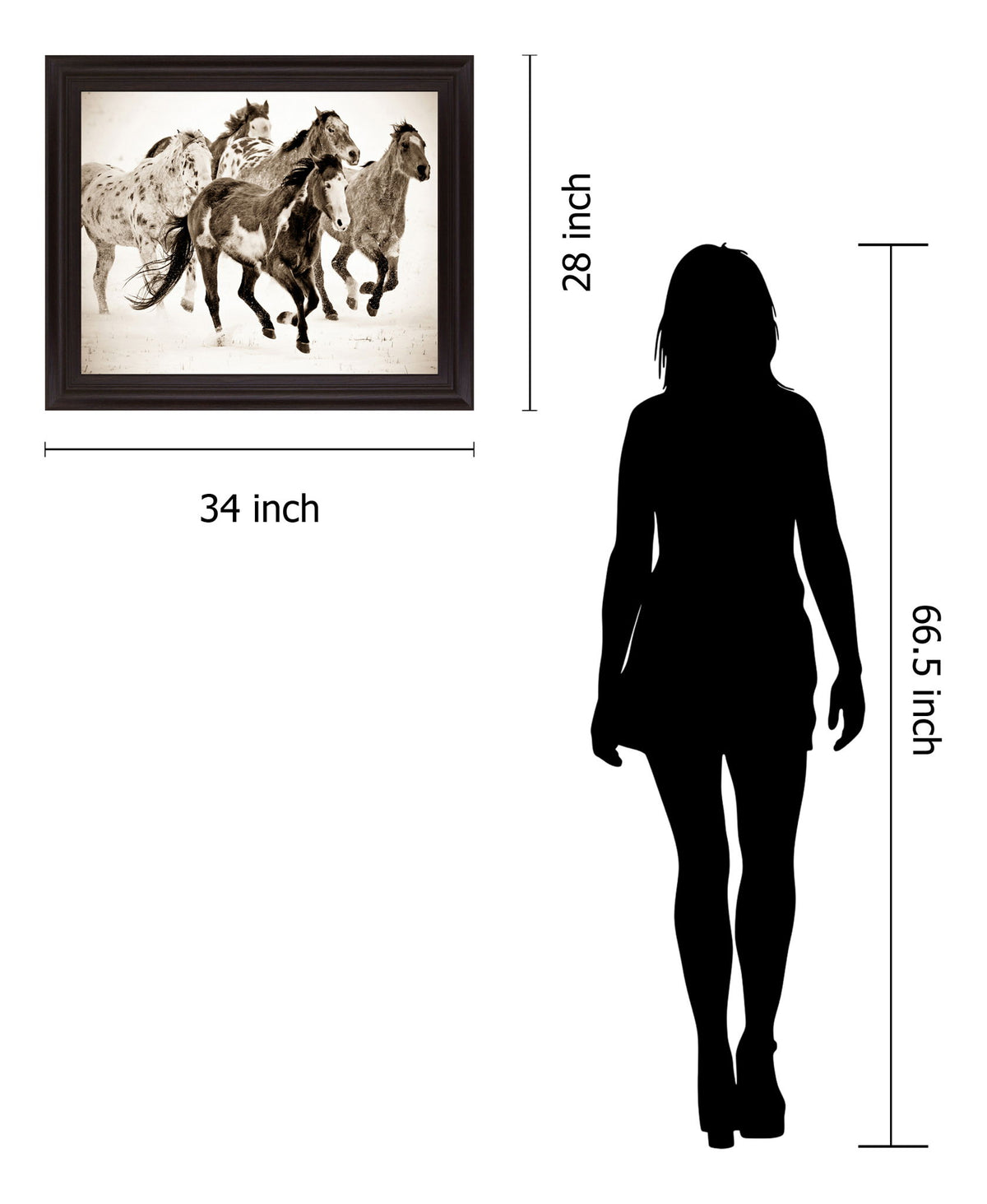 Speckled Gallop - 28" x 34" Framed Wall Art - Dark Brown