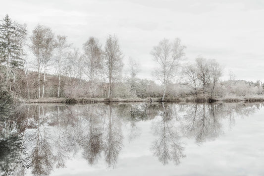 Framed - Taupe Water Mirror By Irene Weisz - Silver