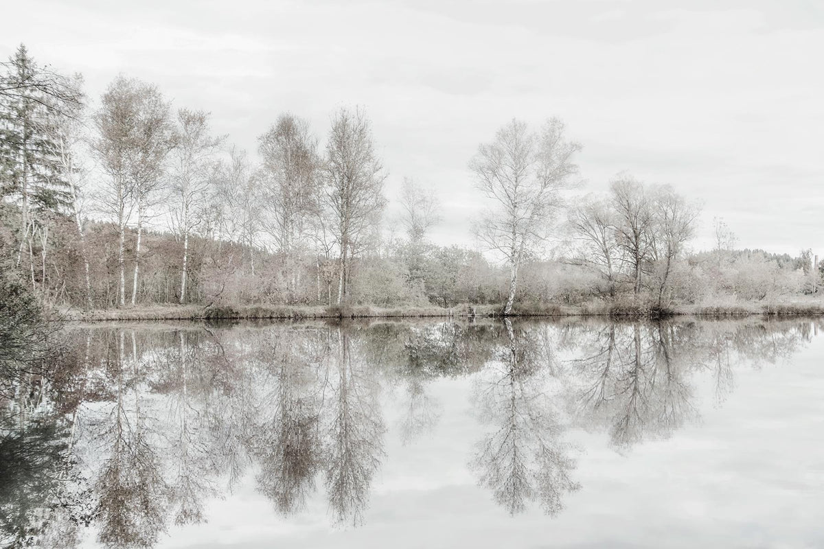 Small - Taupe Water Mirror By Irene Weisz - Silver