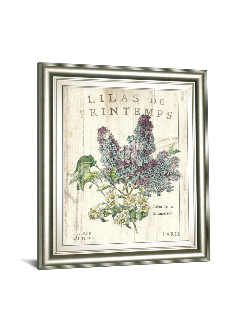 Lilas De Printemps By Sue Schlabach 22x 26 - Beige