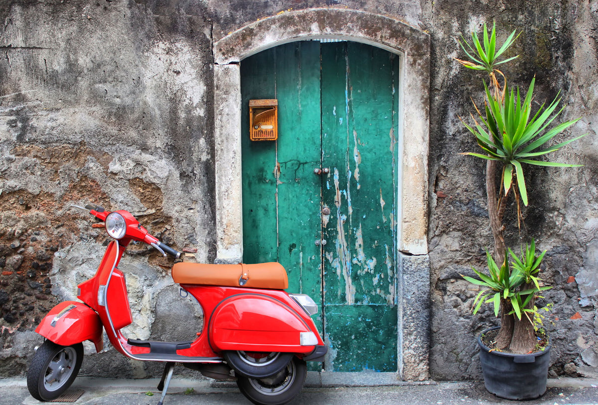 Moped And Door - Dark Gray