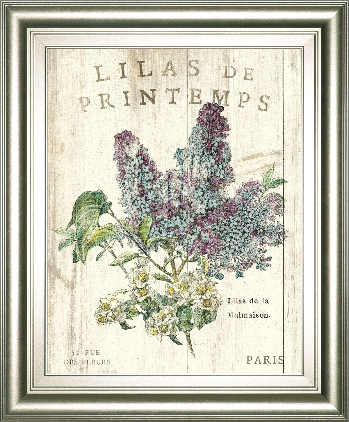 Lilas De Printemps By Sue Schlabach 22x 26 - Beige