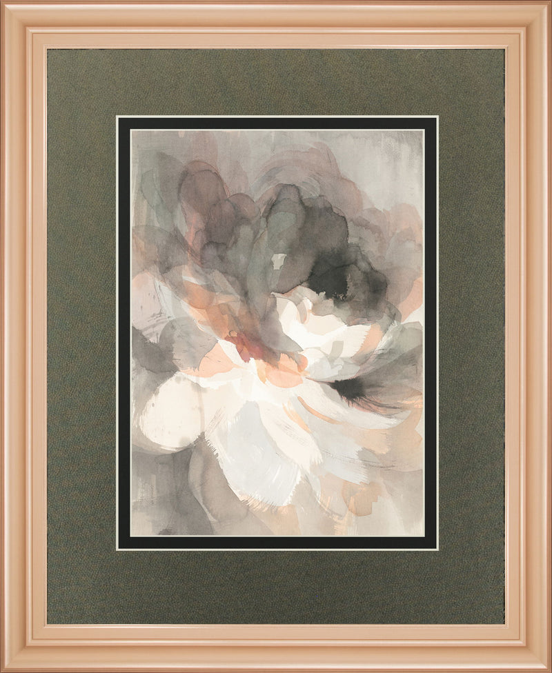 Abstract Peony By Danhui Nai - Dark Gray