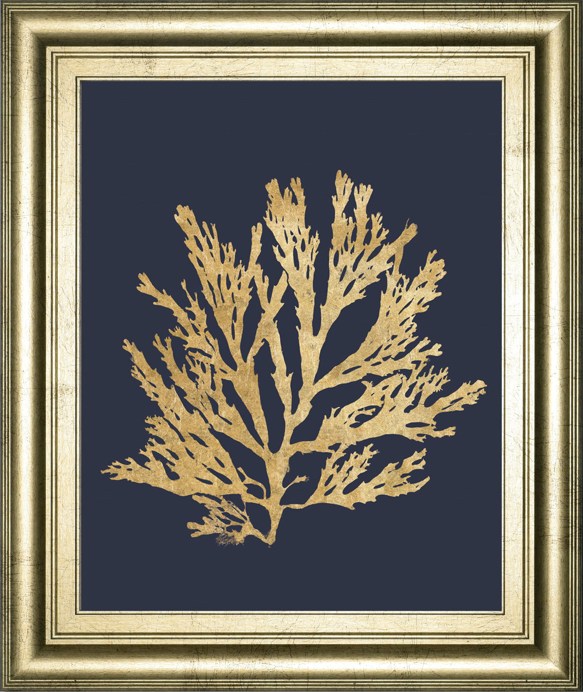 Pacific Sea Mosses I Indigo By Wild Apple Portfolio - Framed Print Wall Art - Dark Gray