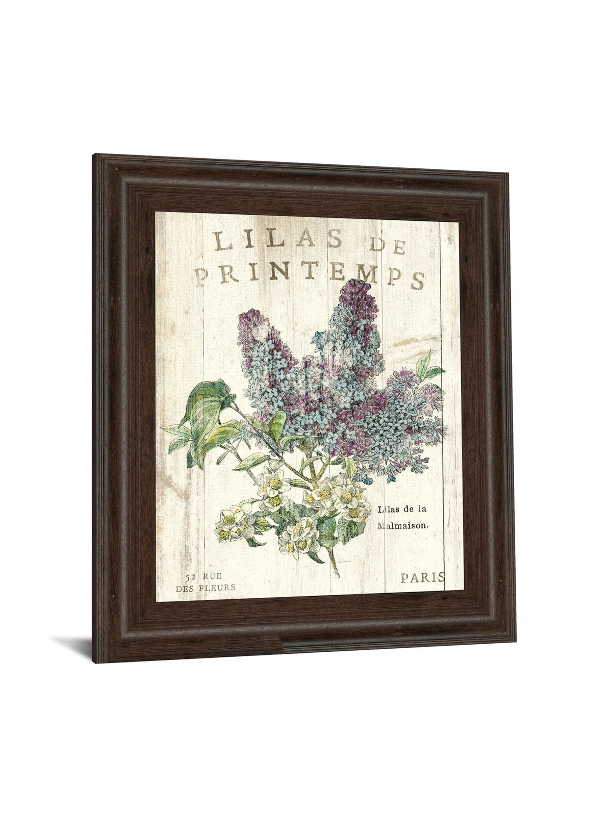 Lilas De Printemps By Sue Schlabach - Beige