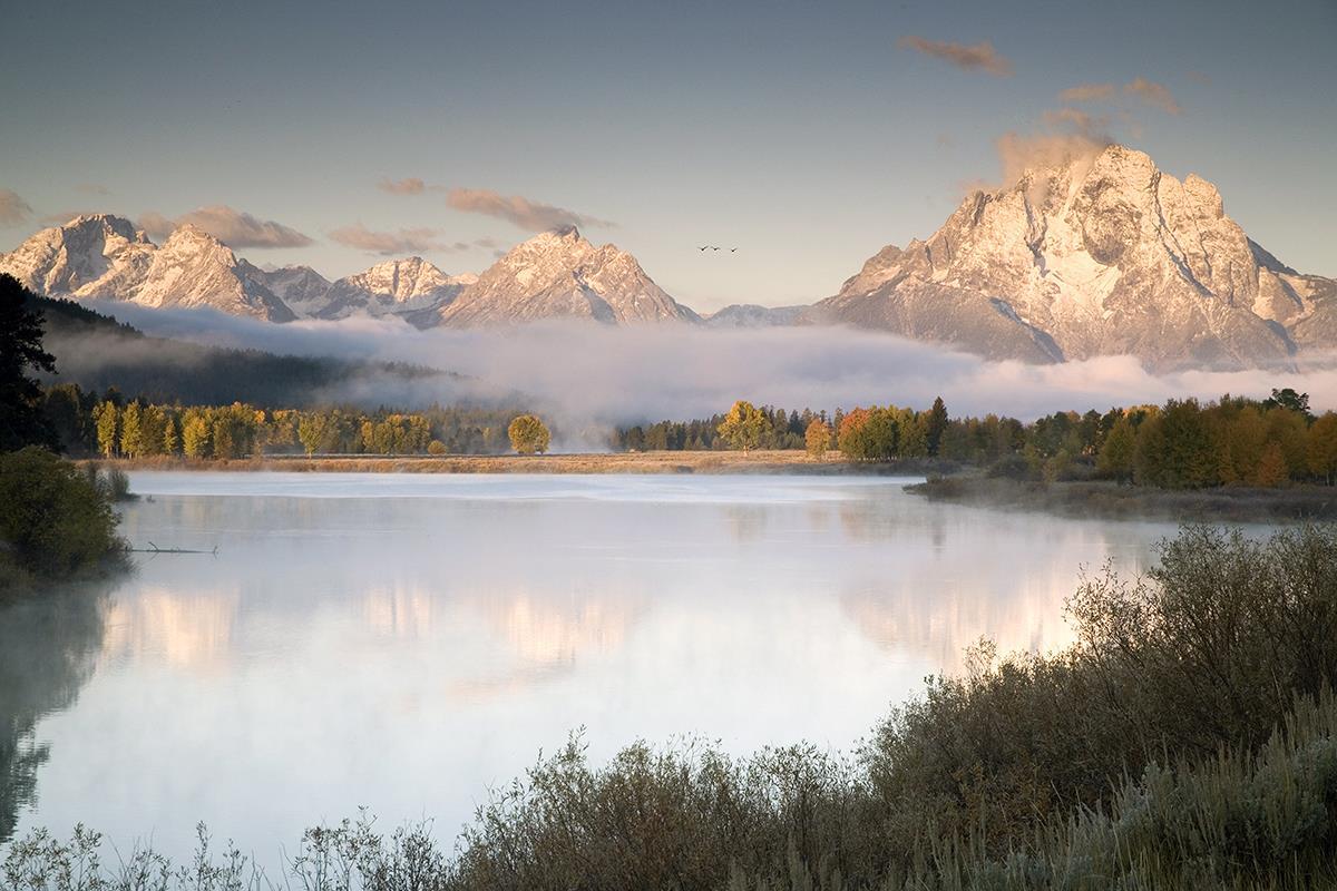 Snake River Fog By Danita Delimont - Gray