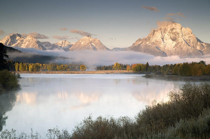 Snake River Fog By Danita Delimont - Gray
