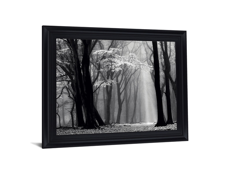 Silent Grove Shadows - 28" x 34" Framed Wall Art - Dark Gray