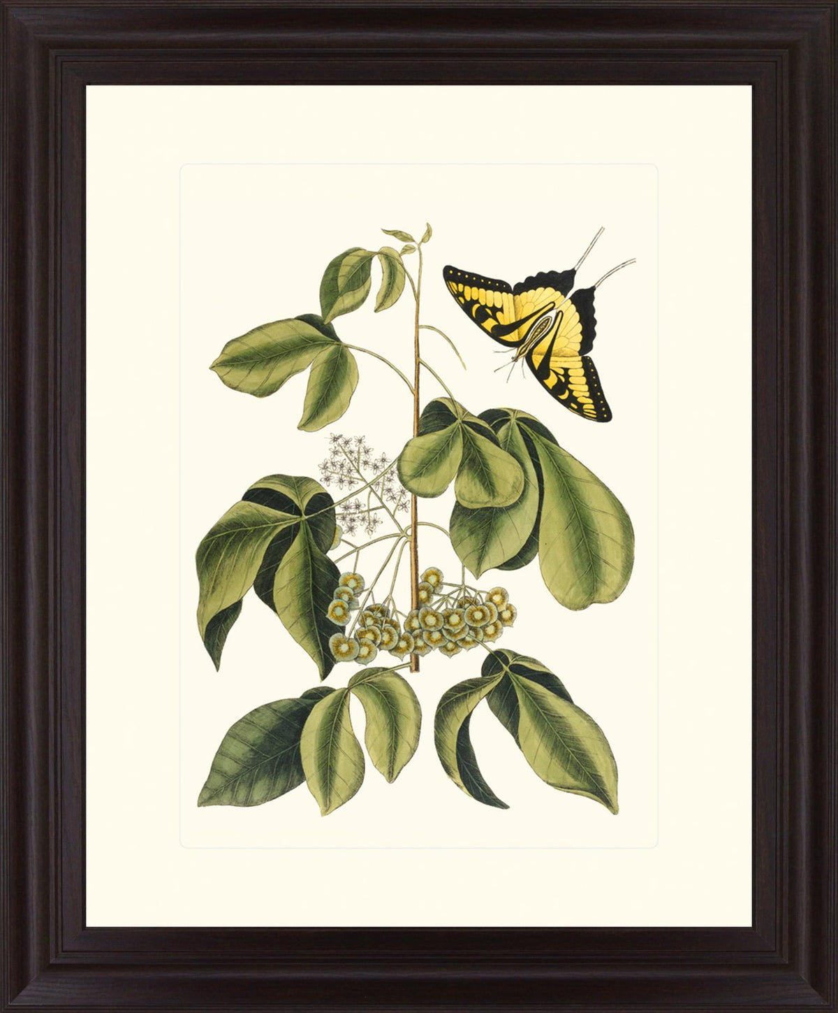 Butterfly Grove - 28" x 34" Framed Wall Art - Green