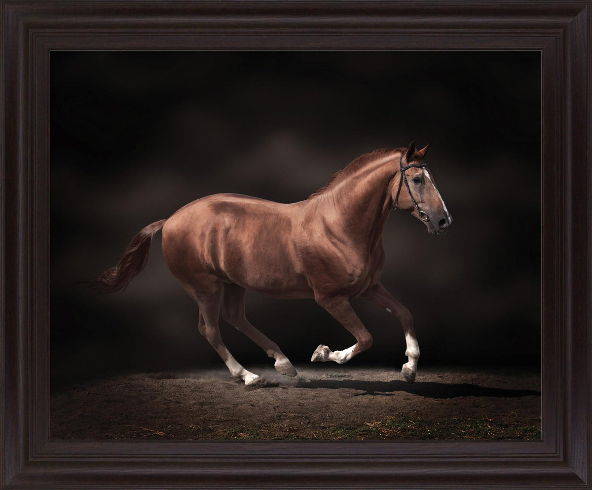 Chestnut Grace - 28" x 34" Framed Wall Art - Dark Brown