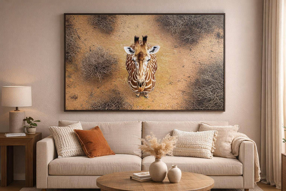 Savanna Gaze Hand-Embellished Canvas In Frame - Brown / Tan