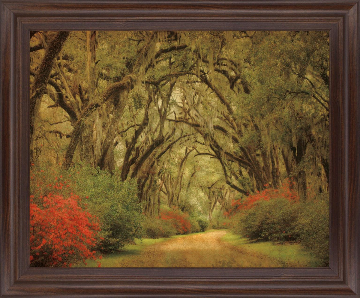 Mossy Woodland Trail - 28" x 34" Framed Wall Art - Green