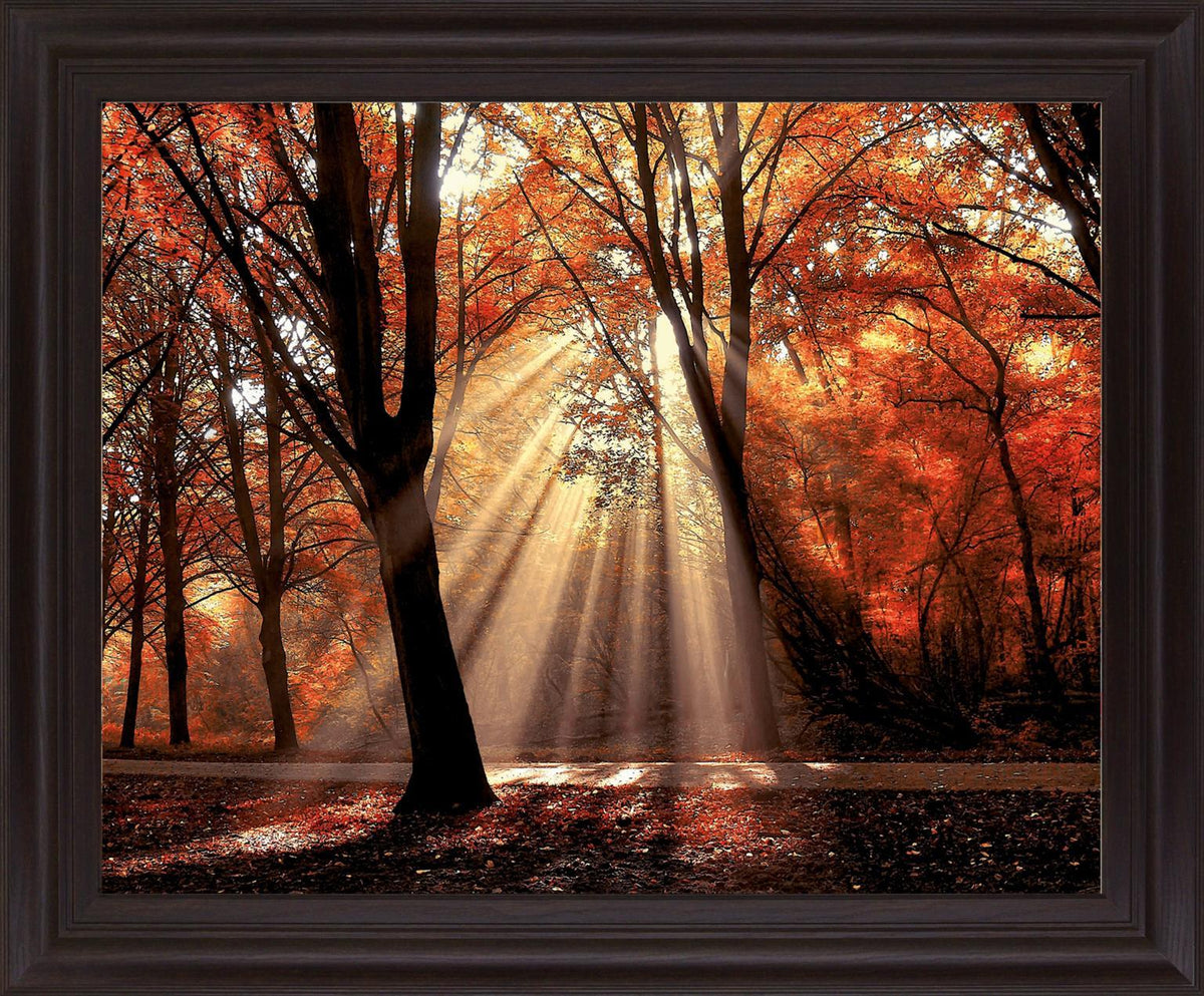 Radiant Maple Glow - 28" x 34" Framed Wall Art - Orange