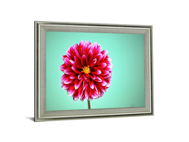 Crimson Radiance - 28" x 34" Framed Wall Art - Pink