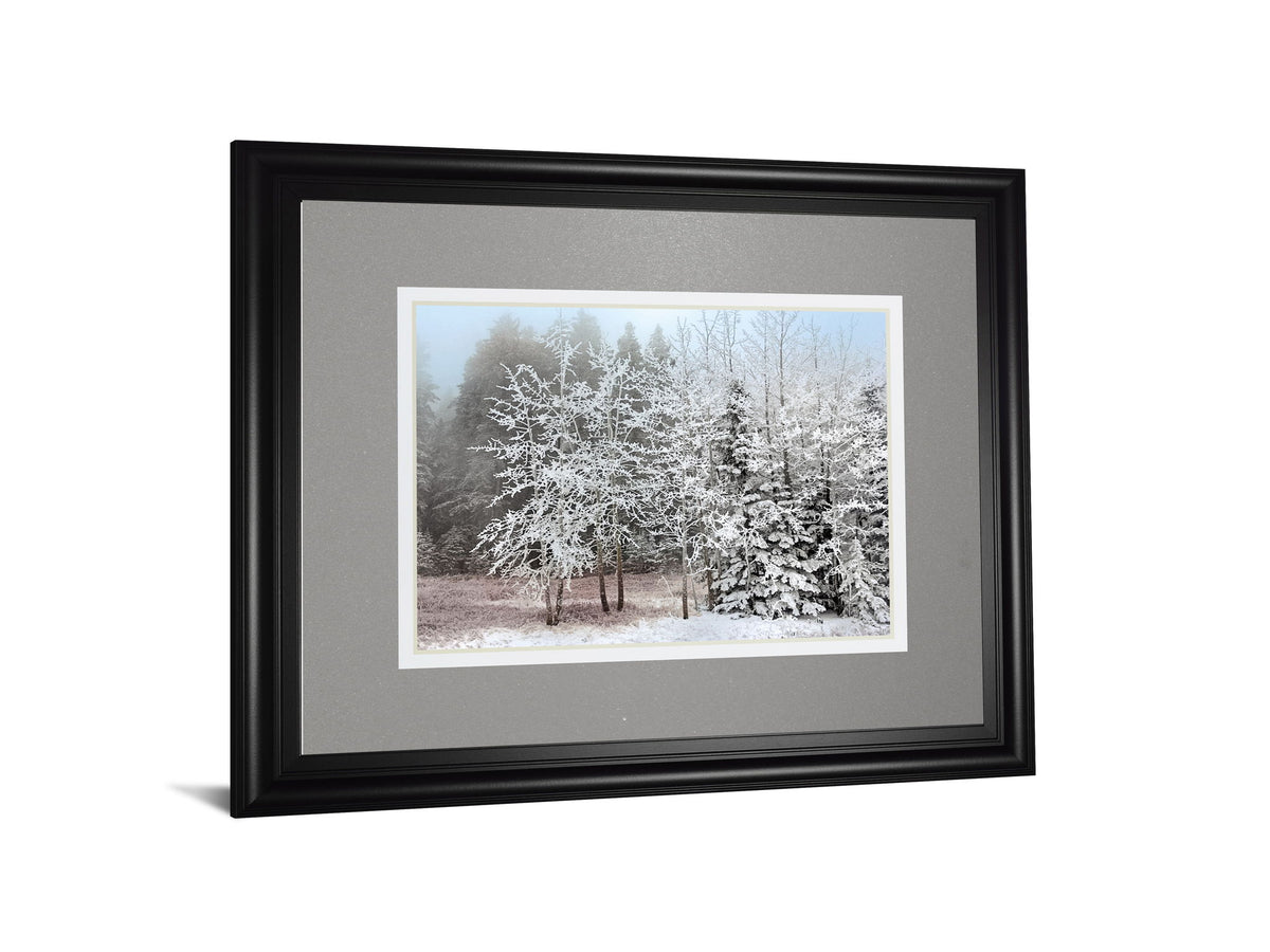Frosty Morning By Mike Jone - Framed Print Wall Art - Gray