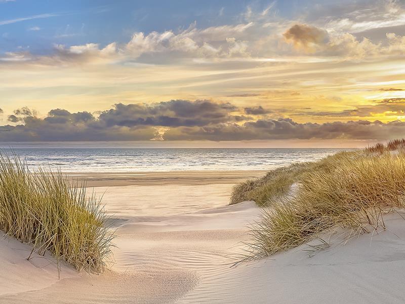 Sand Sunset By Mike Calascibetta (Framed) - Beige