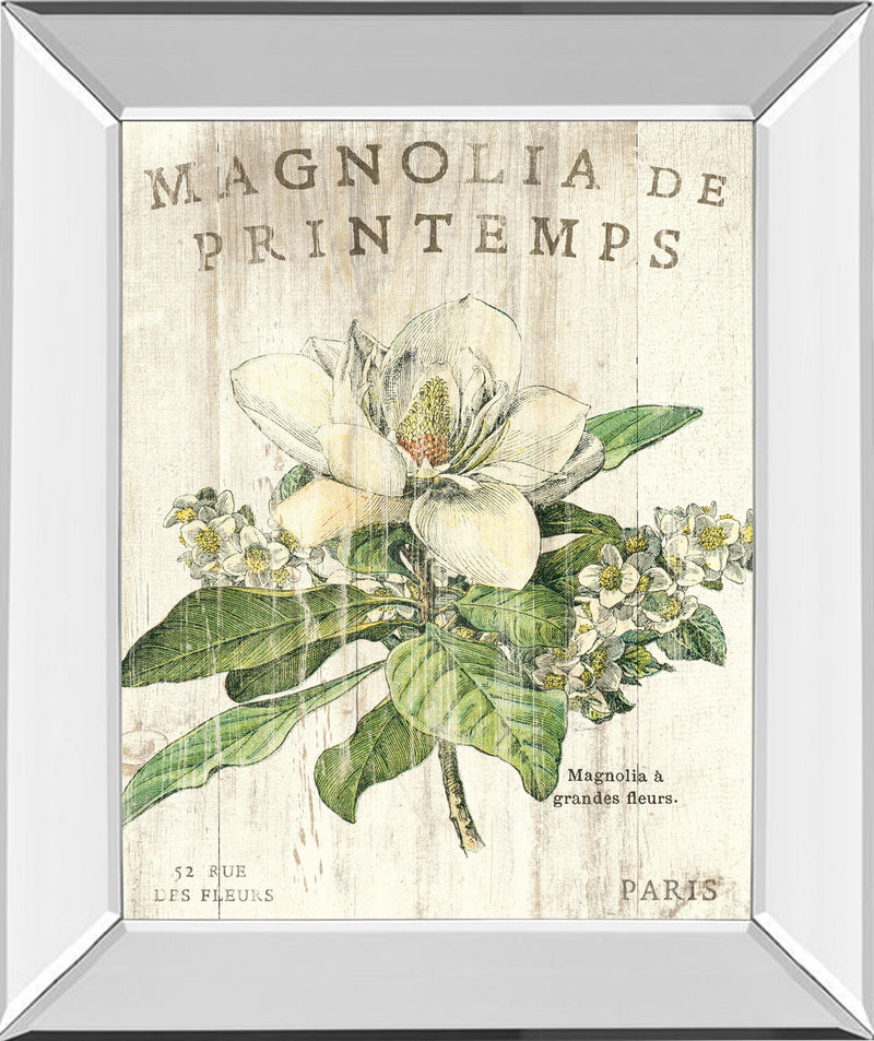 Magnolia De Printemps By Sue Schlabach - Mirror Framed Print Wall Art - Beige