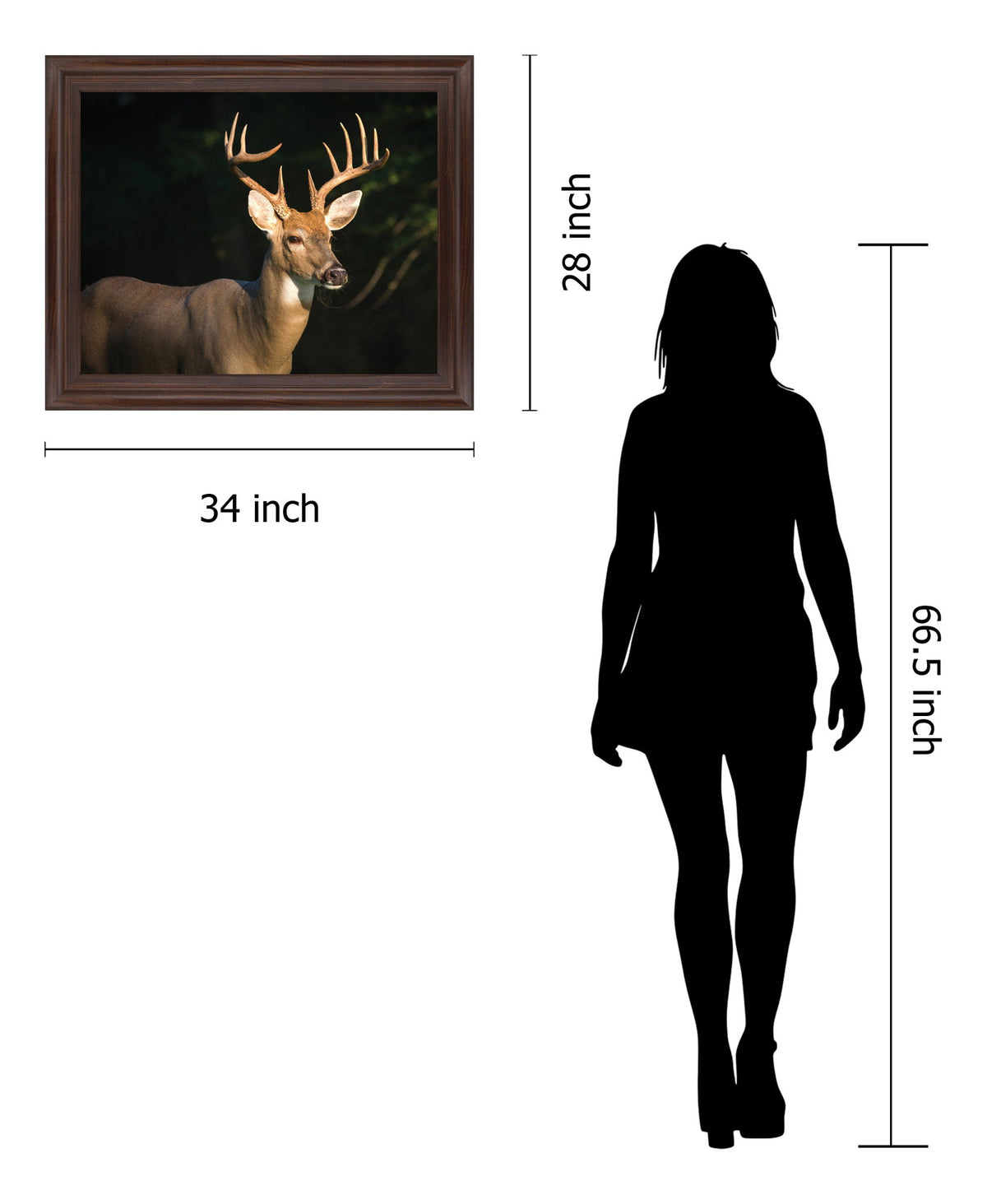 Forest Sentinel - 28" x 34" Framed Wall Art - Dark Brown