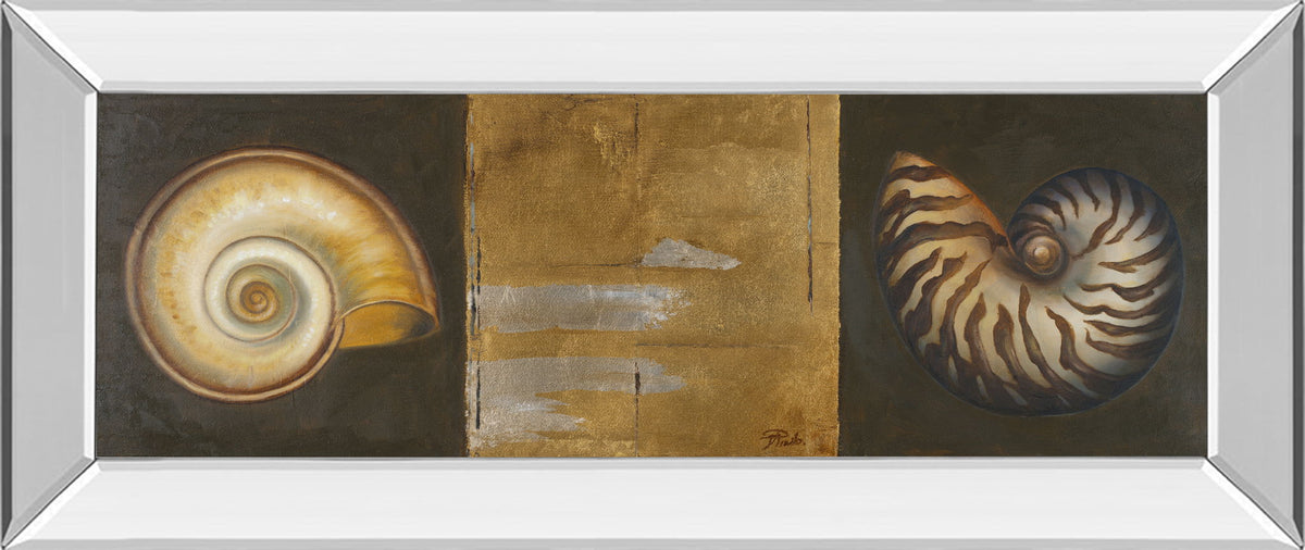 Seashells I By Patricia Pinto - Mirror Framed Print Wall Art - Gold
