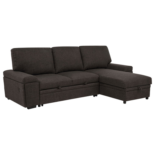 Demko Sleeper Sectional Sofa with Speaker and Storage Chaise Brown